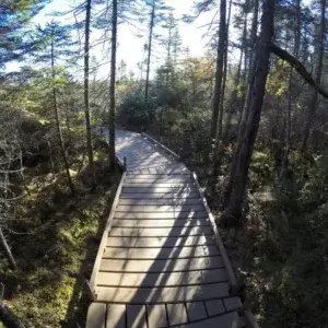 Modular-Aluminum-Boardwalks