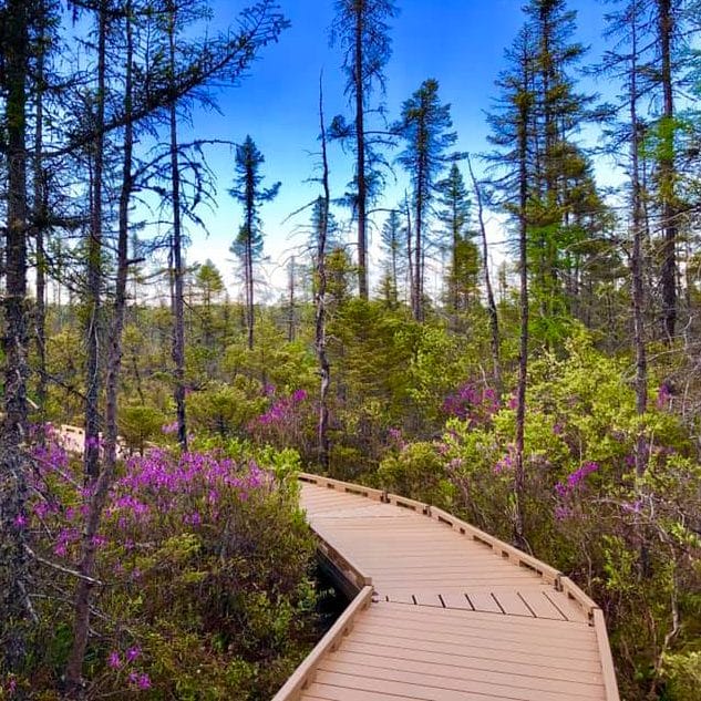 TrailBoardwalk